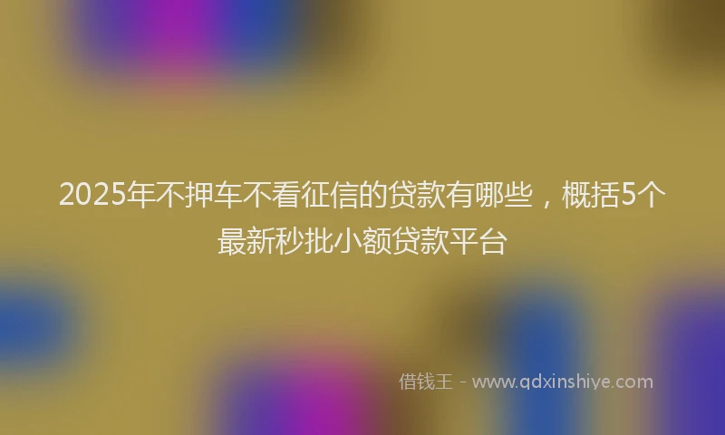 2025年不押车不看征信的贷款有哪些，概括5个最新秒批小额贷款平台