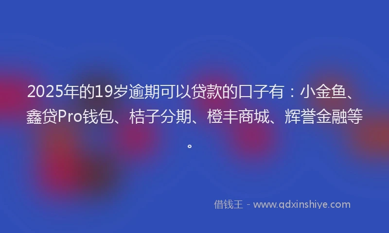 2025年的19岁逾期可以贷款的口子有：小金鱼、鑫贷Pro钱包、桔子分期、橙丰商城、辉誉金融等。