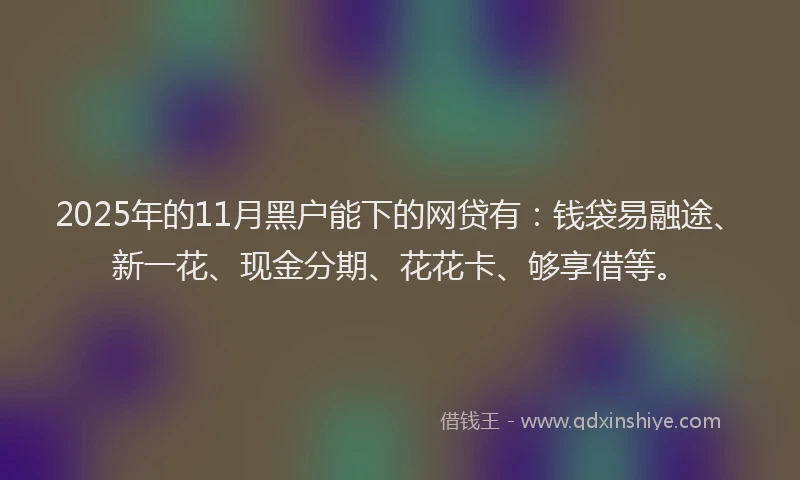 2025年的11月黑户能下的网贷有：钱袋易融途、新一花、现金分期、花花卡、够享借等。