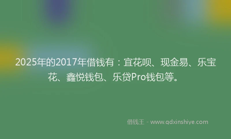 2025年的2017年借钱有：宜花呗、现金易、乐宝花、鑫悦钱包、乐贷Pro钱包等。