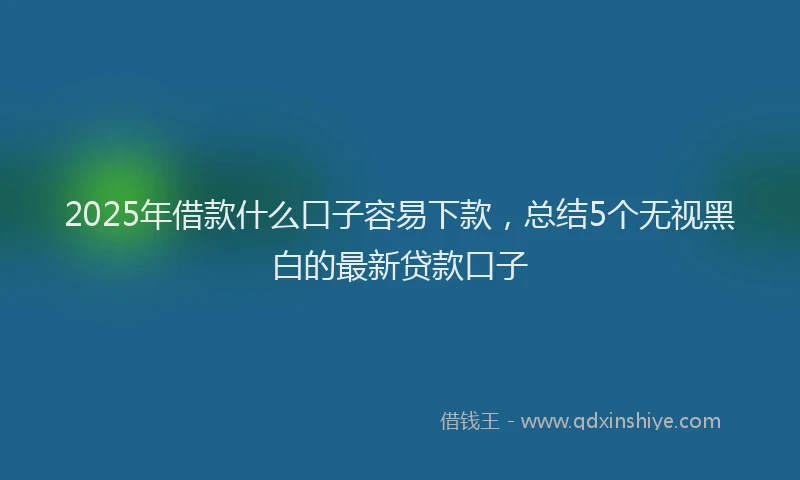 2025年借款什么口子容易下款，总结5个无视黑白的最新贷款口子