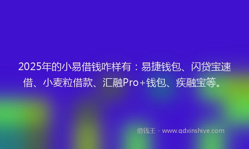 2025年的小易借钱咋样有：易捷钱包、闪贷宝速借、小麦粒借款、汇融Pro+钱包、疾融宝等。
