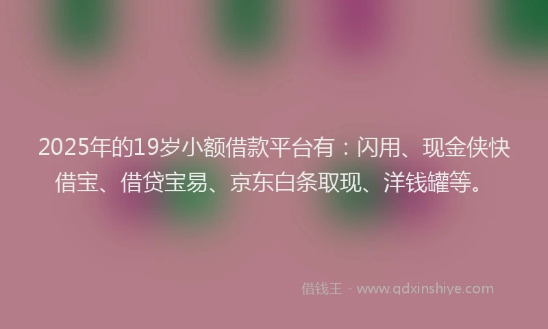 2025年的19岁小额借款平台有：闪用、现金侠快借宝、借贷宝易、京东白条取现、洋钱罐等。