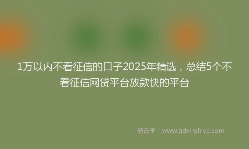 1万以内不看征信的口子2025年精选，总结5个不看征信网贷平台放款快的平台
