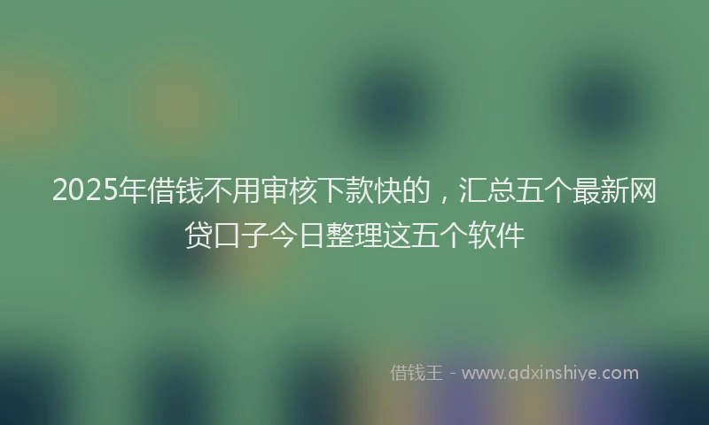 2025年借钱不用审核下款快的，汇总五个最新网贷口子今日整理这五个软件
