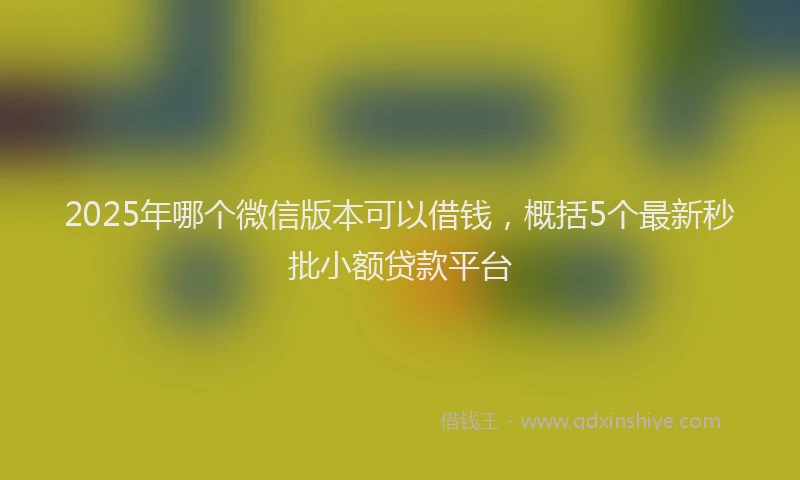 2025年哪个微信版本可以借钱，概括5个最新秒批小额贷款平台