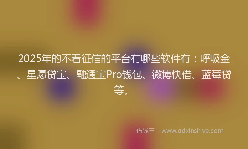 2025年的不看征信的平台有哪些软件有：呼吸金、星愿贷宝、融通宝Pro钱包、微博快借、蓝莓贷等。
