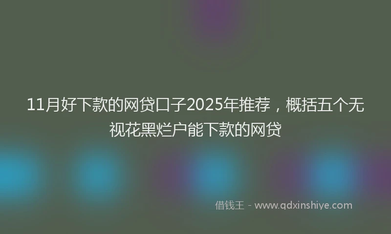 11月好下款的网贷口子2025年推荐，概括五个无视花黑烂户能下款的网贷