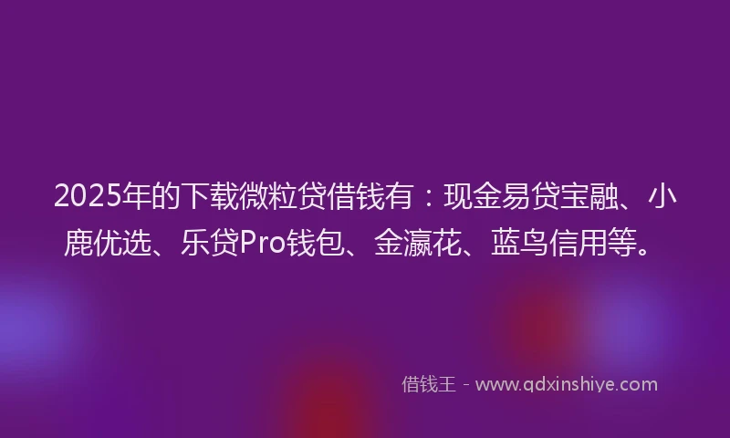 2025年的下载微粒贷借钱有：现金易贷宝融、小鹿优选、乐贷Pro钱包、金瀛花、蓝鸟信用等。