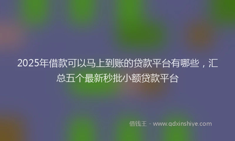 2025年借款可以马上到账的贷款平台有哪些，汇总五个最新秒批小额贷款平台