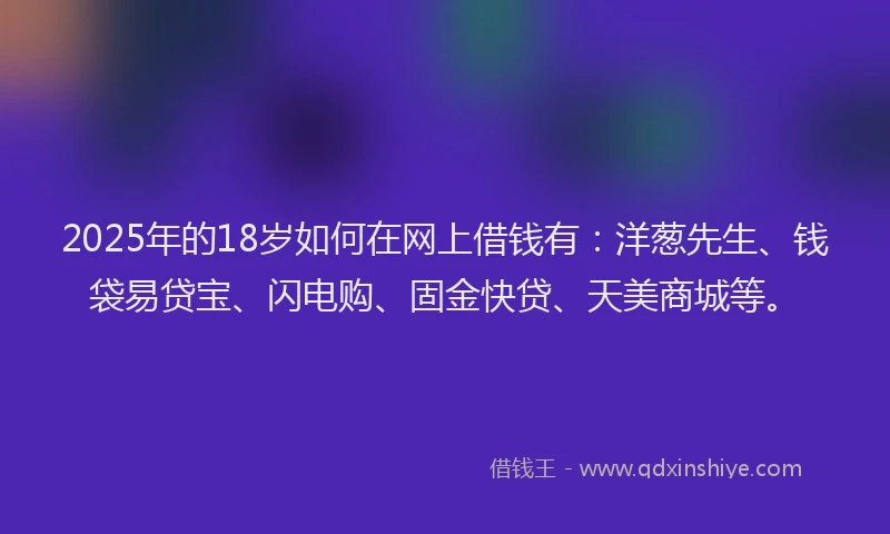 2025年的18岁如何在网上借钱有：洋葱先生、钱袋易贷宝、闪电购、固金快贷、天美商城等。