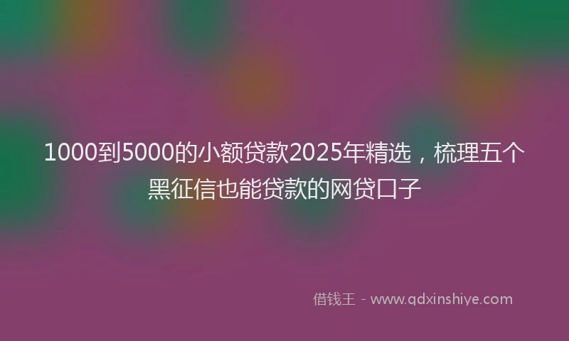 1000到5000的小额贷款2025年精选，梳理五个黑征信也能贷款的网贷口子