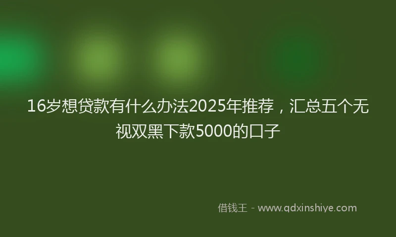 16岁想贷款有什么办法2025年推荐，汇总五个无视双黑下款5000的口子