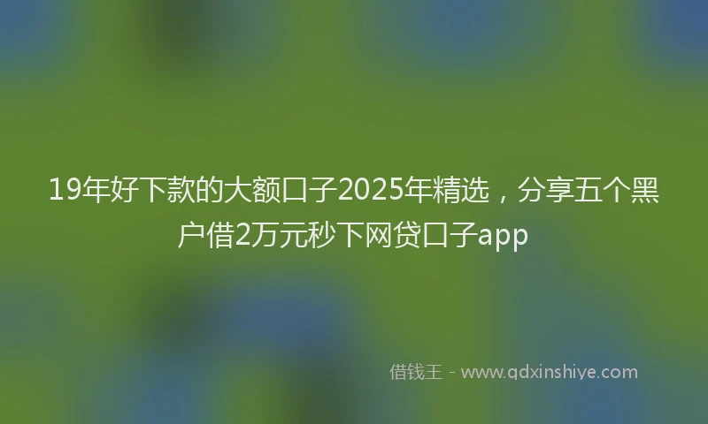 19年好下款的大额口子2025年精选，分享五个黑户借2万元秒下网贷口子app