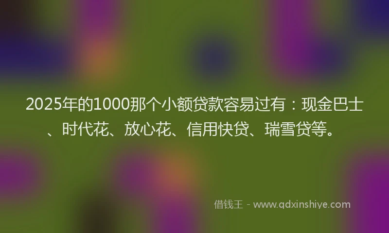 2025年的1000那个小额贷款容易过有：现金巴士、时代花、放心花、信用快贷、瑞雪贷等。