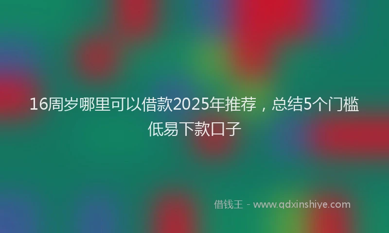 16周岁哪里可以借款2025年推荐，总结5个门槛低易下款口子