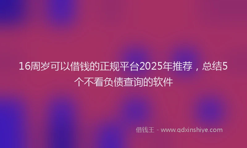 16周岁可以借钱的正规平台2025年推荐，总结5个不看负债查询的软件