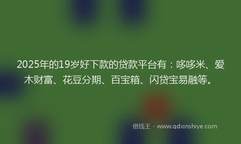 2025年的19岁好下款的贷款平台有：哆哆米、爱木财富、花豆分期、百宝箱、闪贷宝易融等。