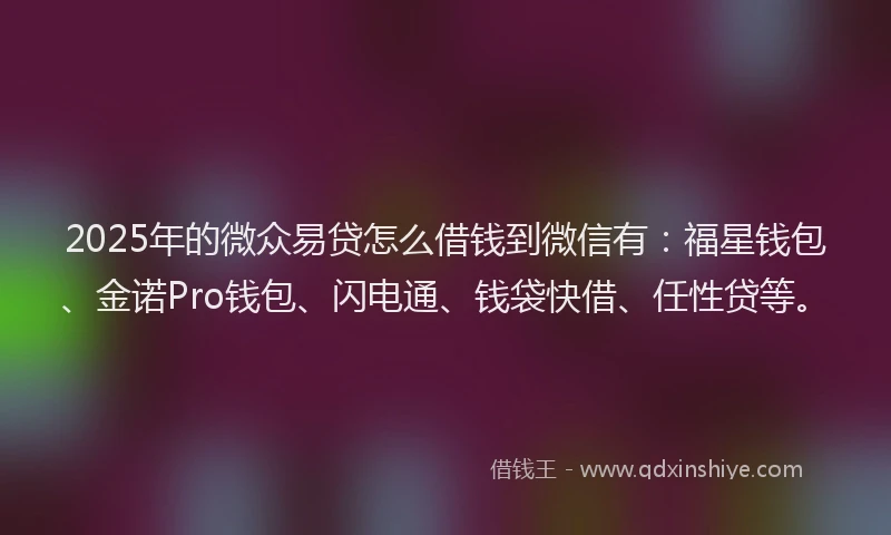 2025年的微众易贷怎么借钱到微信有：福星钱包、金诺Pro钱包、闪电通、钱袋快借、任性贷等。