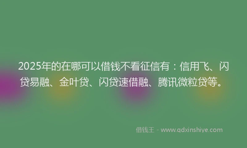 2025年的在哪可以借钱不看征信有：信用飞、闪贷易融、金叶贷、闪贷速借融、腾讯微粒贷等。