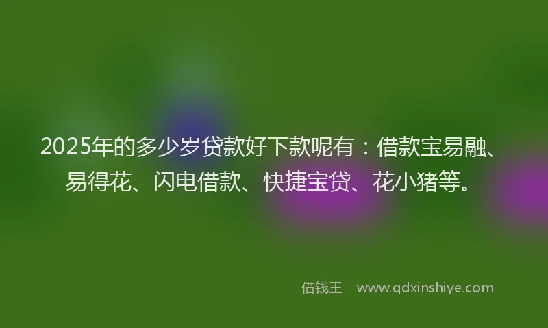 2025年的多少岁贷款好下款呢有：借款宝易融、易得花、闪电借款、快捷宝贷、花小猪等。