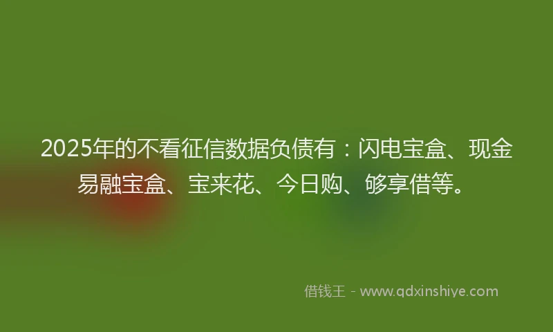 2025年的不看征信数据负债有：闪电宝盒、现金易融宝盒、宝来花、今日购、够享借等。