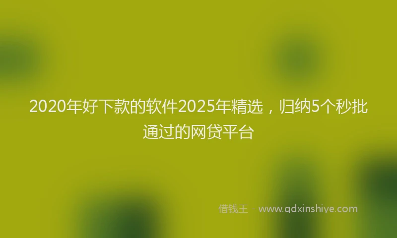 2020年好下款的软件2025年精选，归纳5个秒批通过的网贷平台