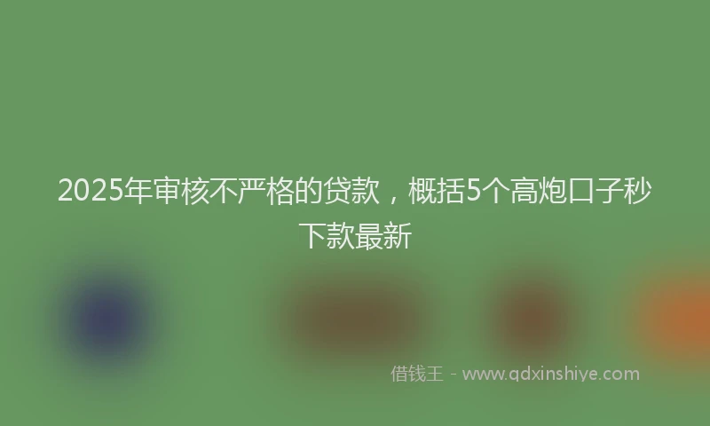 2025年审核不严格的贷款，概括5个高炮口子秒下款最新