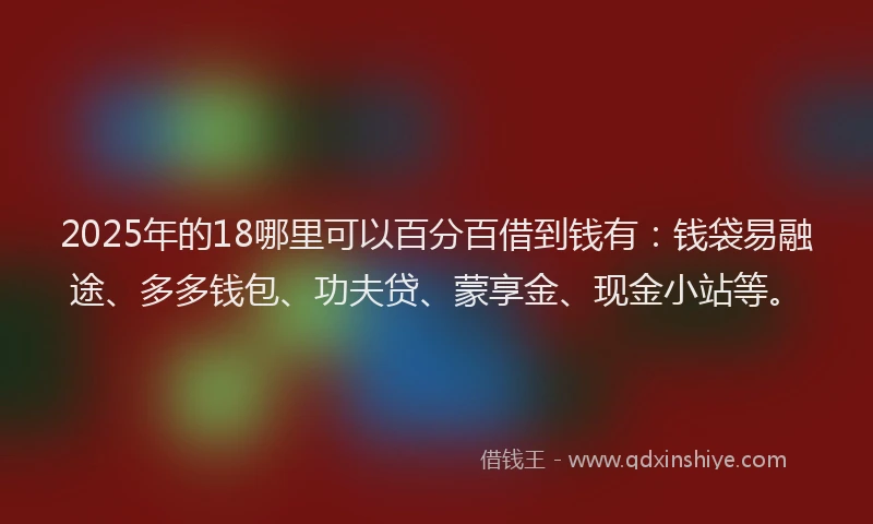 2025年的18哪里可以百分百借到钱有：钱袋易融途、多多钱包、功夫贷、蒙享金、现金小站等。