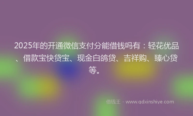 2025年的开通微信支付分能借钱吗有：轻花优品、借款宝快贷宝、现金白鸽贷、吉祥购、臻心贷等。