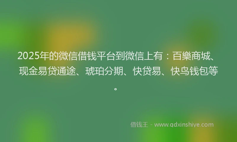 2025年的微信借钱平台到微信上有：百樂商城、现金易贷通途、琥珀分期、快贷易、快鸟钱包等。