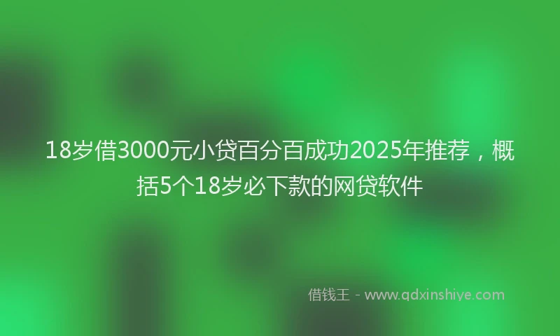 18岁借3000元小贷百分百成功2025年推荐，概括5个18岁必下款的网贷软件