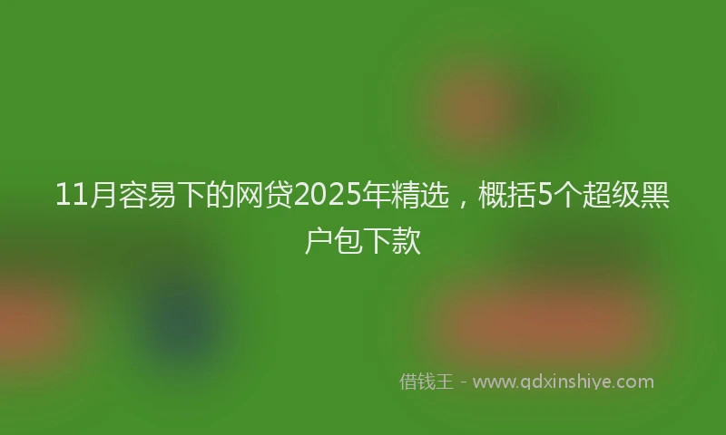 11月容易下的网贷2025年精选，概括5个超级黑户包下款