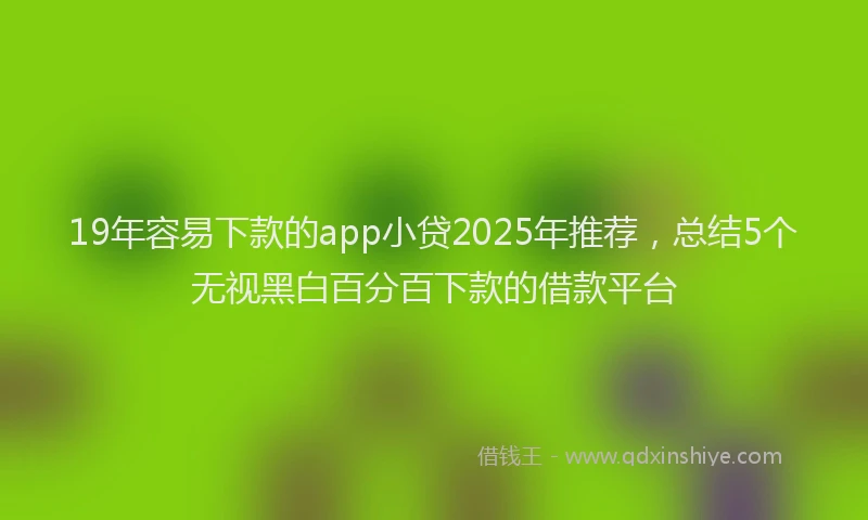 19年容易下款的app小贷2025年推荐，总结5个无视黑白百分百下款的借款平台