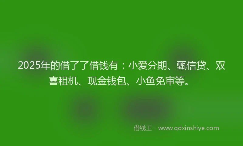2025年的借了了借钱有：小爱分期、甄信贷、双喜租机、现金钱包、小鱼免审等。