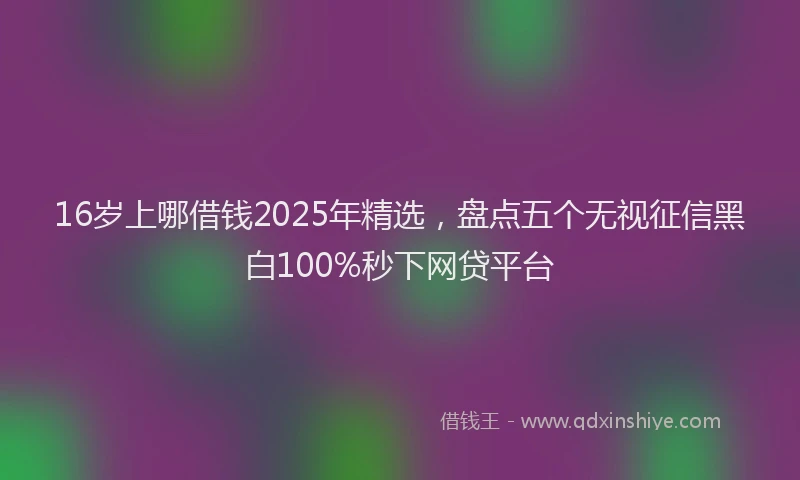 16岁上哪借钱2025年精选，盘点五个无视征信黑白100%秒下网贷平台