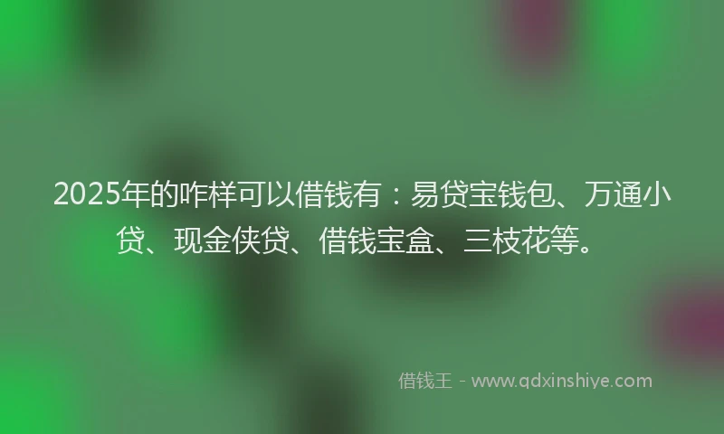 2025年的咋样可以借钱有：易贷宝钱包、万通小贷、现金侠贷、借钱宝盒、三枝花等。