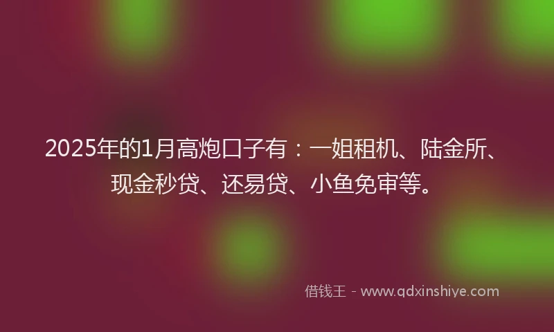2025年的1月高炮口子有：一姐租机、陆金所、现金秒贷、还易贷、小鱼免审等。