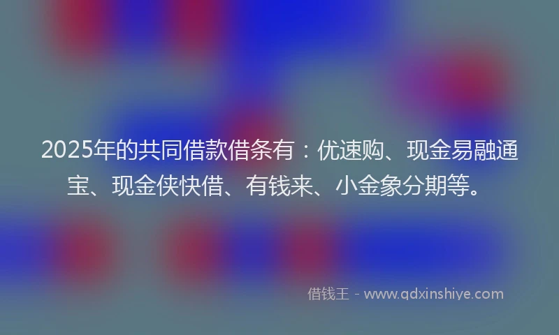 2025年的共同借款借条有：优速购、现金易融通宝、现金侠快借、有钱来、小金象分期等。