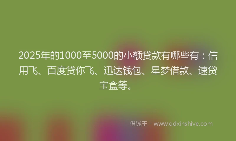 2025年的1000至5000的小额贷款有哪些有：信用飞、百度贷你飞、迅达钱包、星梦借款、速贷宝盒等。