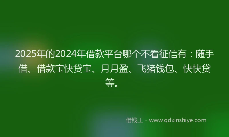 2025年的2024年借款平台哪个不看征信有：随手借、借款宝快贷宝、月月盈、飞猪钱包、快快贷等。