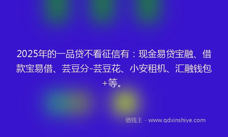 2025年的一品贷不看征信有：现金易贷宝融、借款宝易借、芸豆分-芸豆花、小安租机、汇融钱包+等。