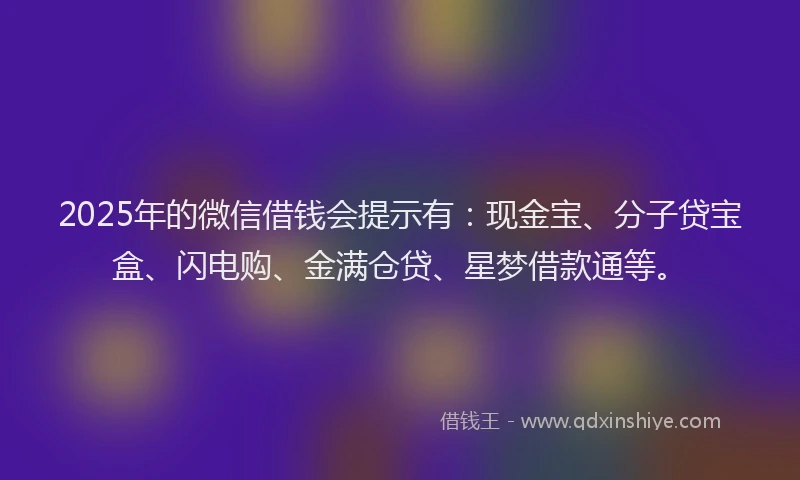 2025年的微信借钱会提示有：现金宝、分子贷宝盒、闪电购、金满仓贷、星梦借款通等。