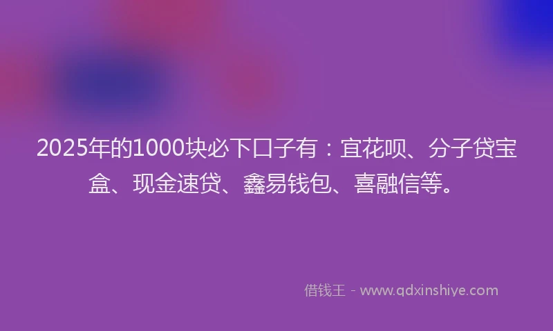 2025年的1000块必下口子有：宜花呗、分子贷宝盒、现金速贷、鑫易钱包、喜融信等。