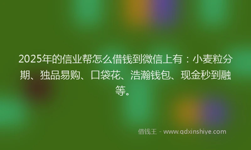 2025年的信业帮怎么借钱到微信上有：小麦粒分期、独品易购、口袋花、浩瀚钱包、现金秒到融等。