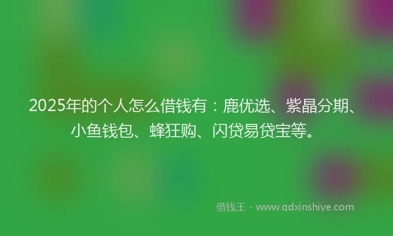 2025年的个人怎么借钱有：鹿优选、紫晶分期、小鱼钱包、蜂狂购、闪贷易贷宝等。