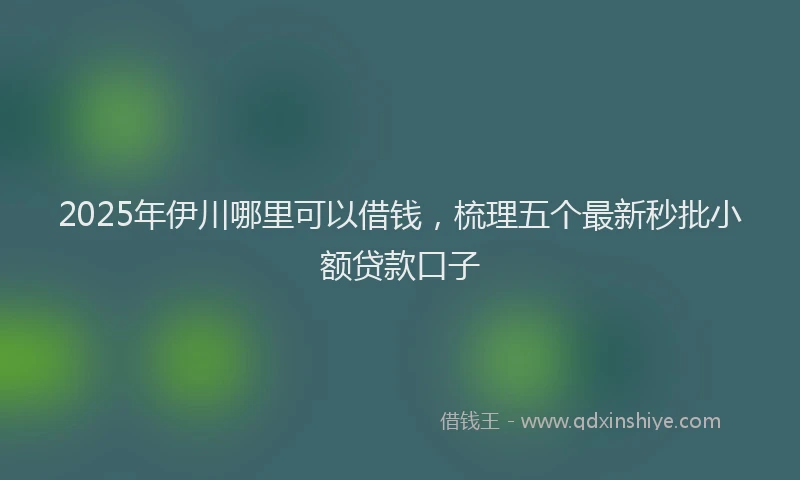 2025年伊川哪里可以借钱，梳理五个最新秒批小额贷款口子