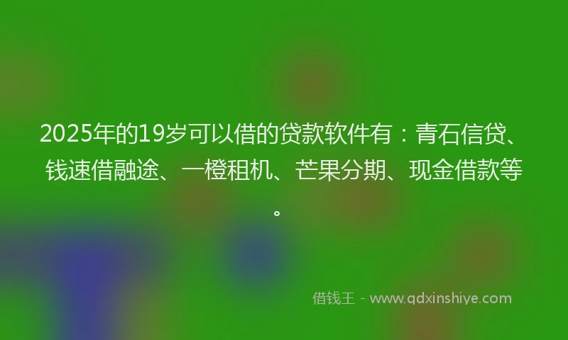 2025年的19岁可以借的贷款软件有：青石信贷、钱速借融途、一橙租机、芒果分期、现金借款等。