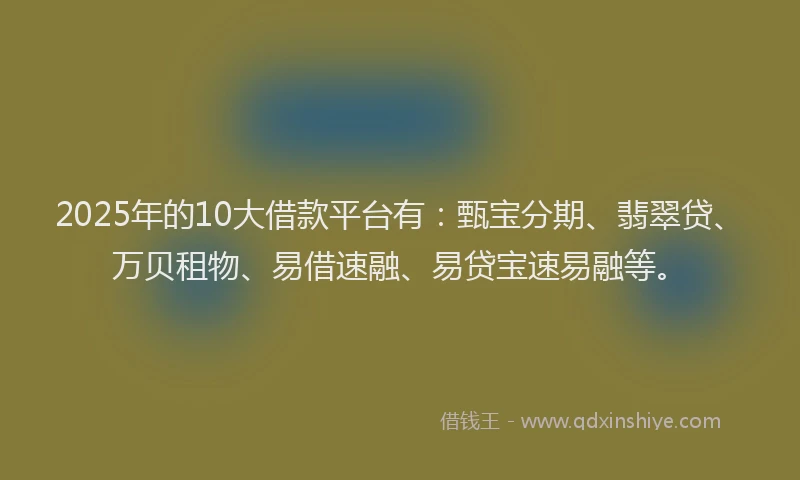 2025年的10大借款平台有：甄宝分期、翡翠贷、万贝租物、易借速融、易贷宝速易融等。