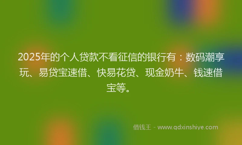 2025年的个人贷款不看征信的银行有：数码潮享玩、易贷宝速借、快易花贷、现金奶牛、钱速借宝等。